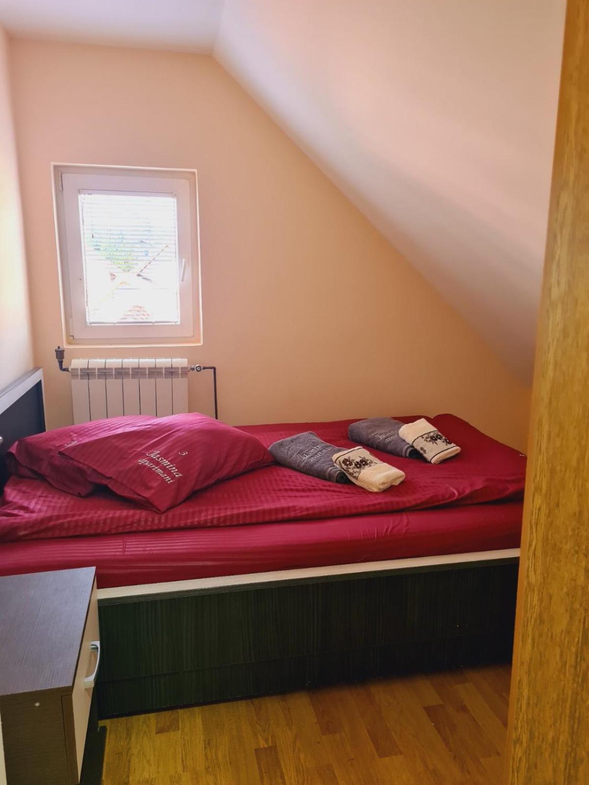 Apartmani Jasmina 兹拉蒂博尔 外观 照片