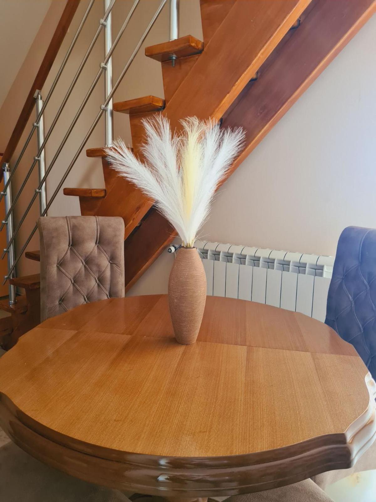Apartmani Jasmina 兹拉蒂博尔 外观 照片
