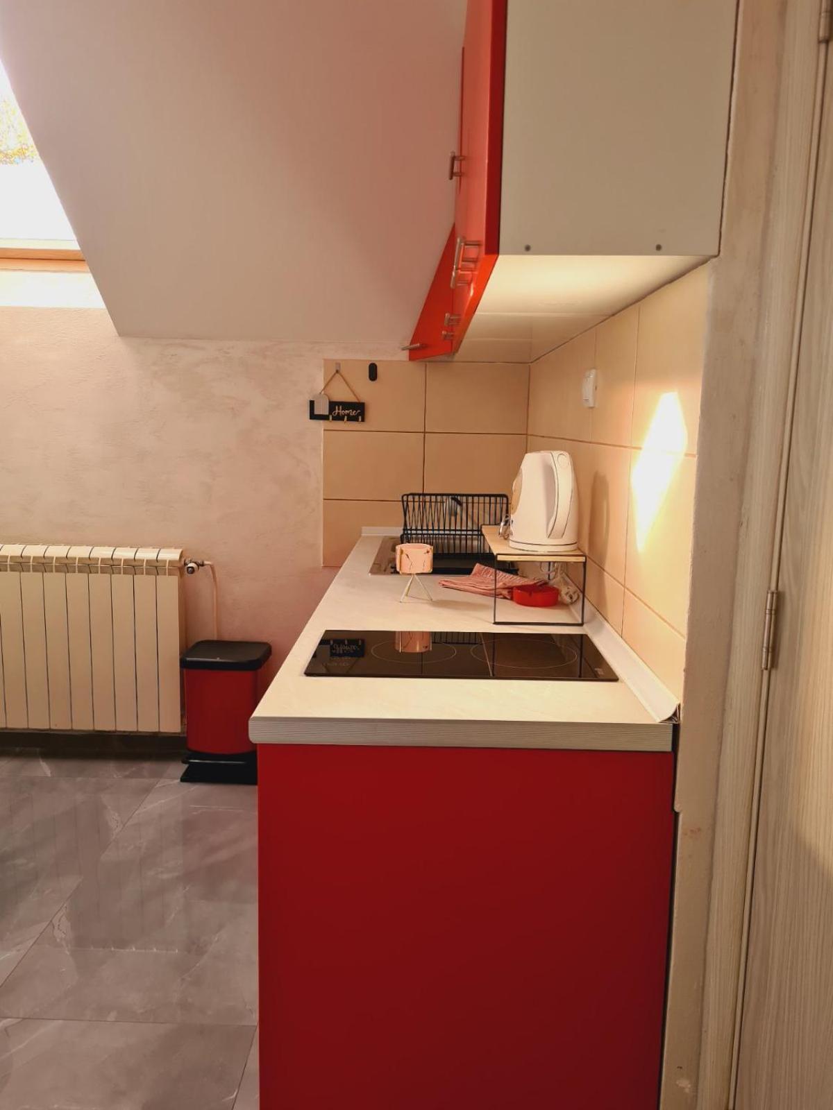 Apartmani Jasmina 兹拉蒂博尔 外观 照片