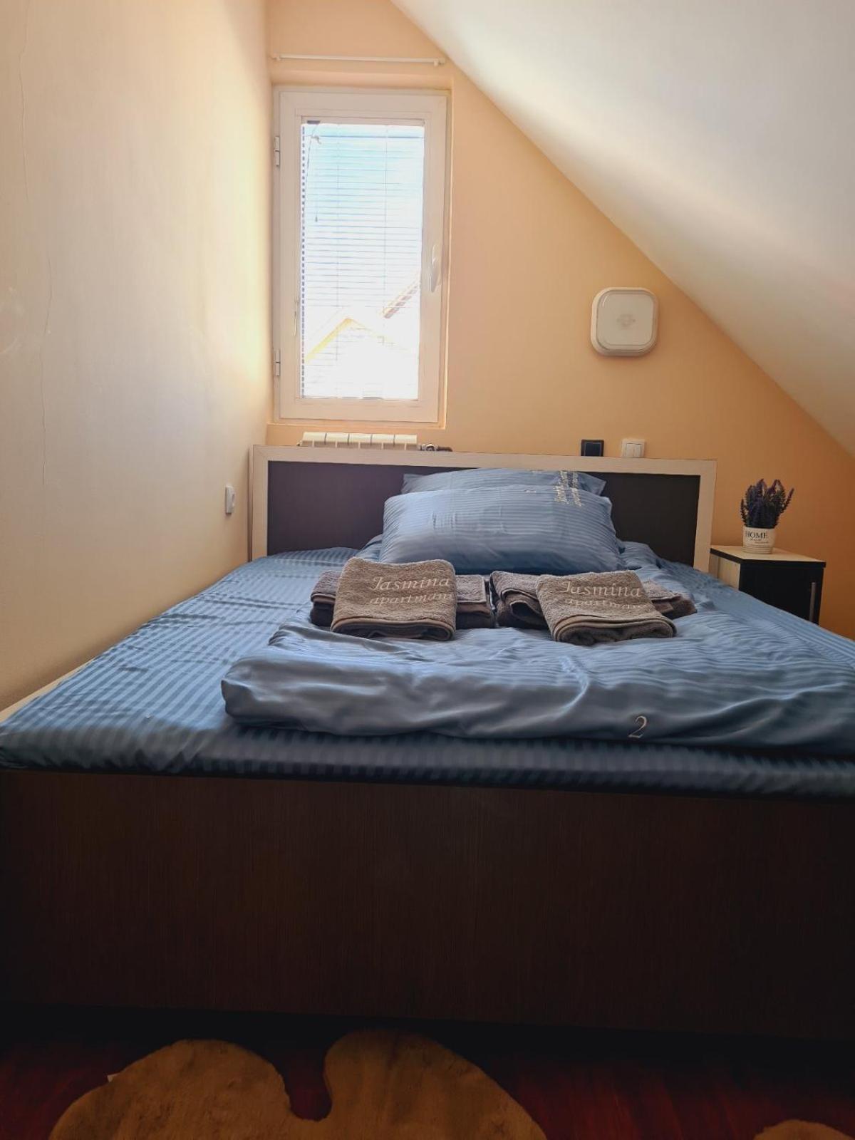 Apartmani Jasmina 兹拉蒂博尔 外观 照片